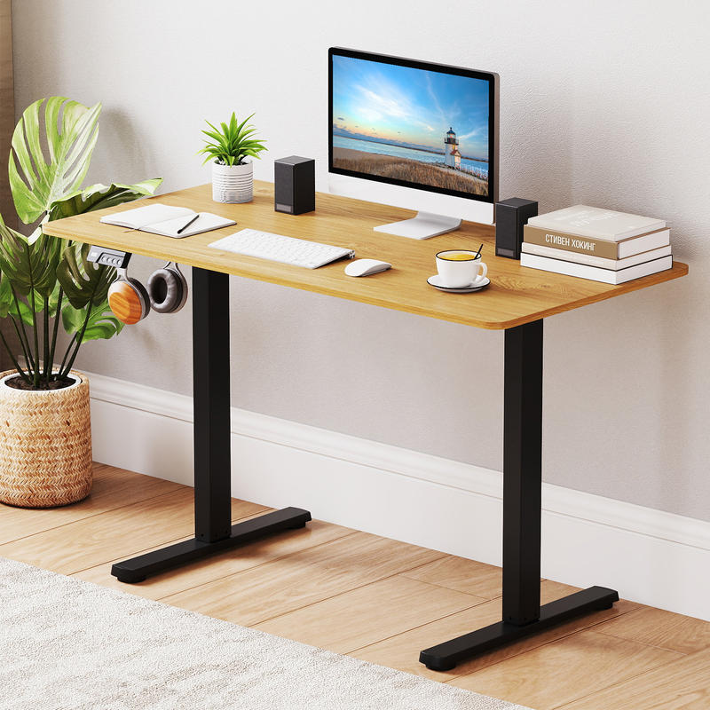 Electric Standing Desk Frame,  - Desk Setup Height 评论和价格