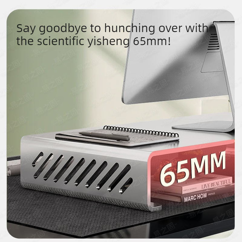 Computer Monitor Stand Riser E - Desk Setup Monitor And Laptop 评论和价格