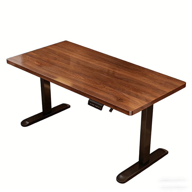 Modern Iron Dual Motor Electri - Desk Setup Height 评论和价格