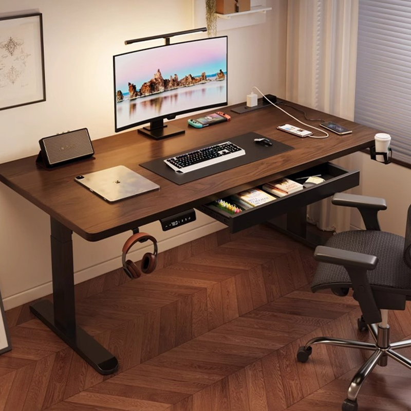 Modern Iron Dual Motor Electri - Desk Setup Height 评论和价格